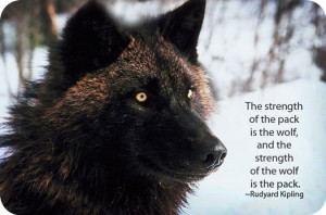 TotemWolfSymbols.jpg