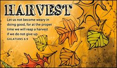 Scripture Cards, Harvest - Free Christian Ecards, Online Greeting ...