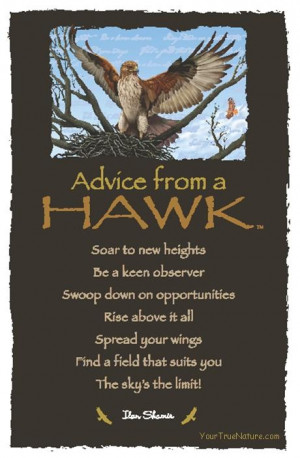 Spirit Totem Animals: #Advice from a #Hawk. Awesome! Maybe some advice ...