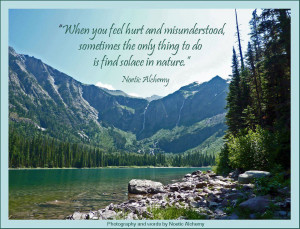 ... of the websites that i found supporting the Tree planting cause are