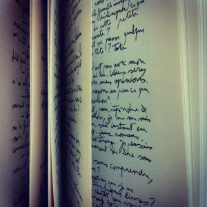 Amelie Nothomb's handwritting : the script (Hygiene and the assassin)