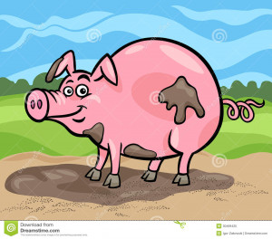 Pig Farm Animal Cartoon Illustration Royalty Free Stock Photo Image