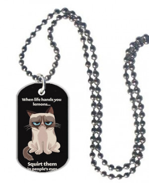 Free shipping NEW FUNNY GRUMPY CAT LEMON LIFE QUOTE Pet Dog Tag ...