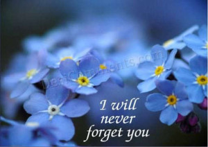 will never forget you