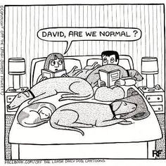 Meaningful Quotes &Cartoons