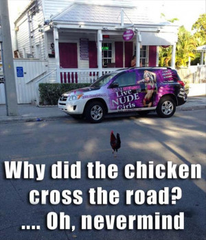 age old question finally answered why did the chicken cross the road