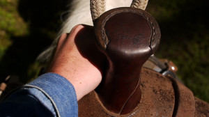 For all the fact finders, exploration trackers, and Justin Kramer ...