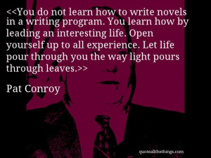 Pat Conroy - quote-You do not learn how to write novels in a writing ...