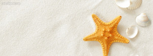 Star Fish And Sea Shells Facebook Cover Picture