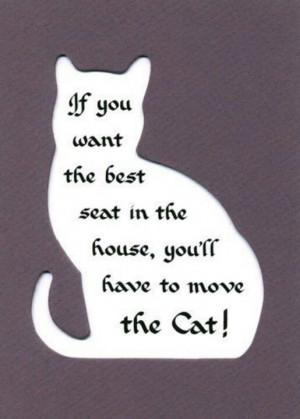 If you want the best seat in the house, you'll have to move the cats!