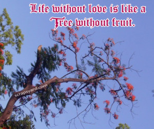 Life Without Love Is Like A Tree Without Fruit