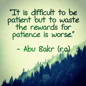 It Is Difficult To Be Patient But To Waste The Rewards For Patience Is ...