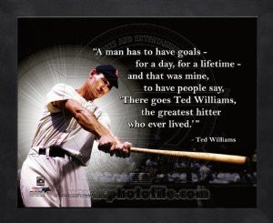 share facebook twitter pinterest qty 1 2 3 4 5 6 7 8 9 10 11