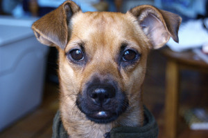 Let's go with 10 Quotes today. Simple. Fun. Thought provoking?