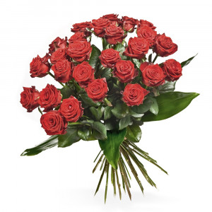 rosenstrauss rosa rote