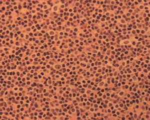 To help improve the quality of the lyrics, visit RALI (Ft. Royalty ...