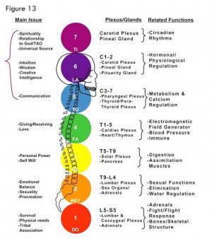 Psychological Function of Seven Chakras