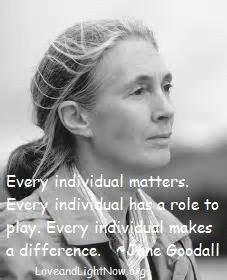 ... makes a difference jane goodall jane goodall quotes quotes p
