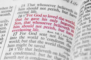 The Wayward Catholic