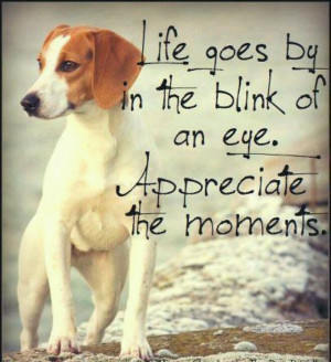 Life goes by in the blink of an eye