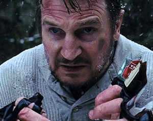 the gray liam neeson
