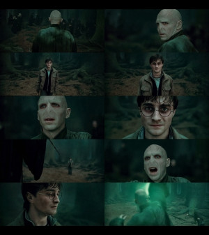 Harry Potter Deathly Hallows Voldemort n Harry