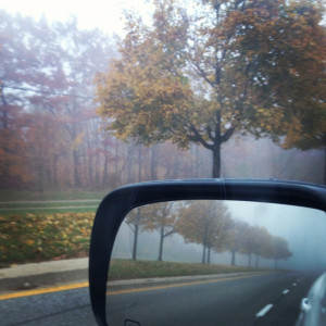Foggy morning commute :)