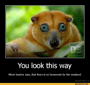 You look this way When teacher says, that there is no homework for the ...