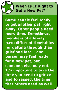 Sad Quotes About Death Of A Pet ~ My Pet Died. How Can I Feel Better?