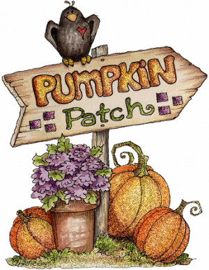 Pumpkin Patch