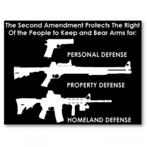 the_second_amendment_protects_poster.jpg