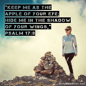 ... your eye; hide me in the shadow of your wings,