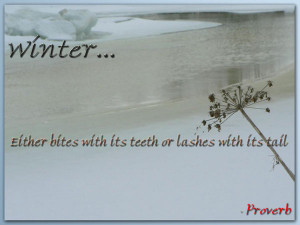 Winter Image Quotes And Sayings