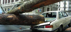 Car Insurance Quotes The General Auto Insurance Compare Free Florida ...