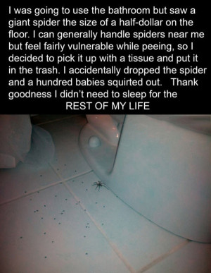 Spider_Baby_Surprise_funny_picture