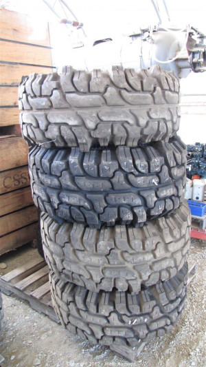 These are the interco thornbird tires the best Pictures
