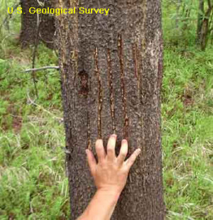 Funny Quotes Contact Dmca...