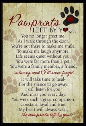 when you lose a pet the feeling of grief can