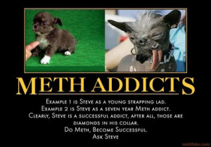 meth-addicts-dog-meth-addict-demotivational-poster-1257988391.jpg
