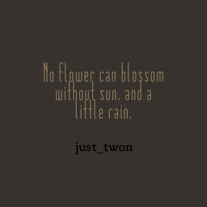 Quotes Picture: ♫no flower can blossom without sun, and a little ...