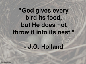 God gives every bird its food, but He does not throw it into its nest ...