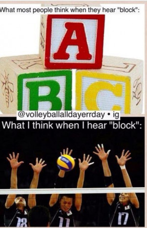 Volleyball quotes. I'm able to block with my elbows above the net ...