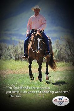 best quote ever! every horse trainer or rider should understand this ...
