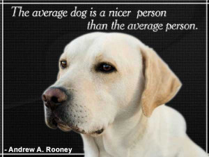 Amazing dog quotes pics