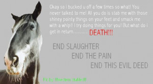 Horse Slaughter Quotes
