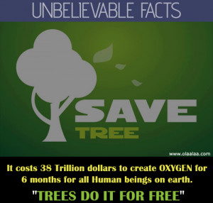 ... the air and release oxygen and trees save earth from global warming