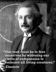 ... rights quotes here: http://www.peta2.com/blog/famous-animal-rights