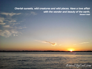 Cherish sunsets wild creatures wild places _ Stewart Udall