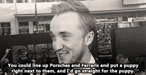 slytherin, malfoy, harry potter, draco malfoy, tom felton