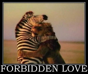 Forbidden Love Funny Picture